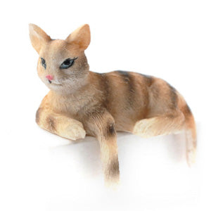 Cleo The Tabby Cat