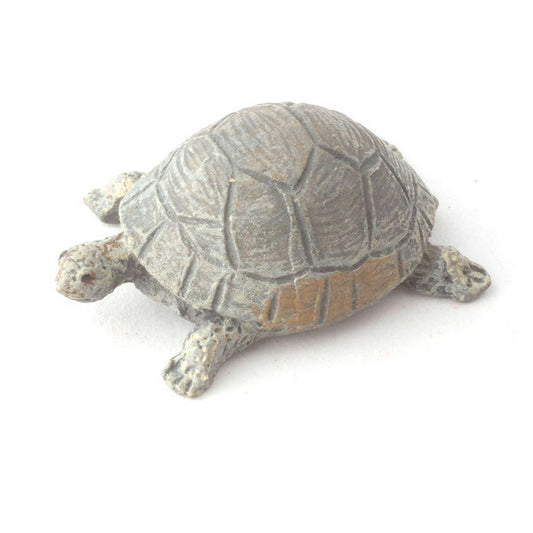 Tortoise