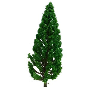 Fir Tree