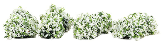 White Border Plants 8pcs